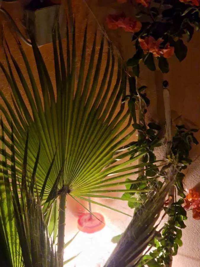 Maison Noe , Residence Al Quaria , Ab40 Marrakesh Marokko
